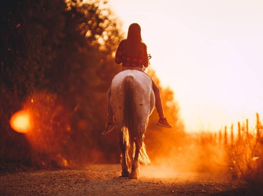 Mountain Valley Farm - Sunset Horseback Trail Ride Millerton New York 02