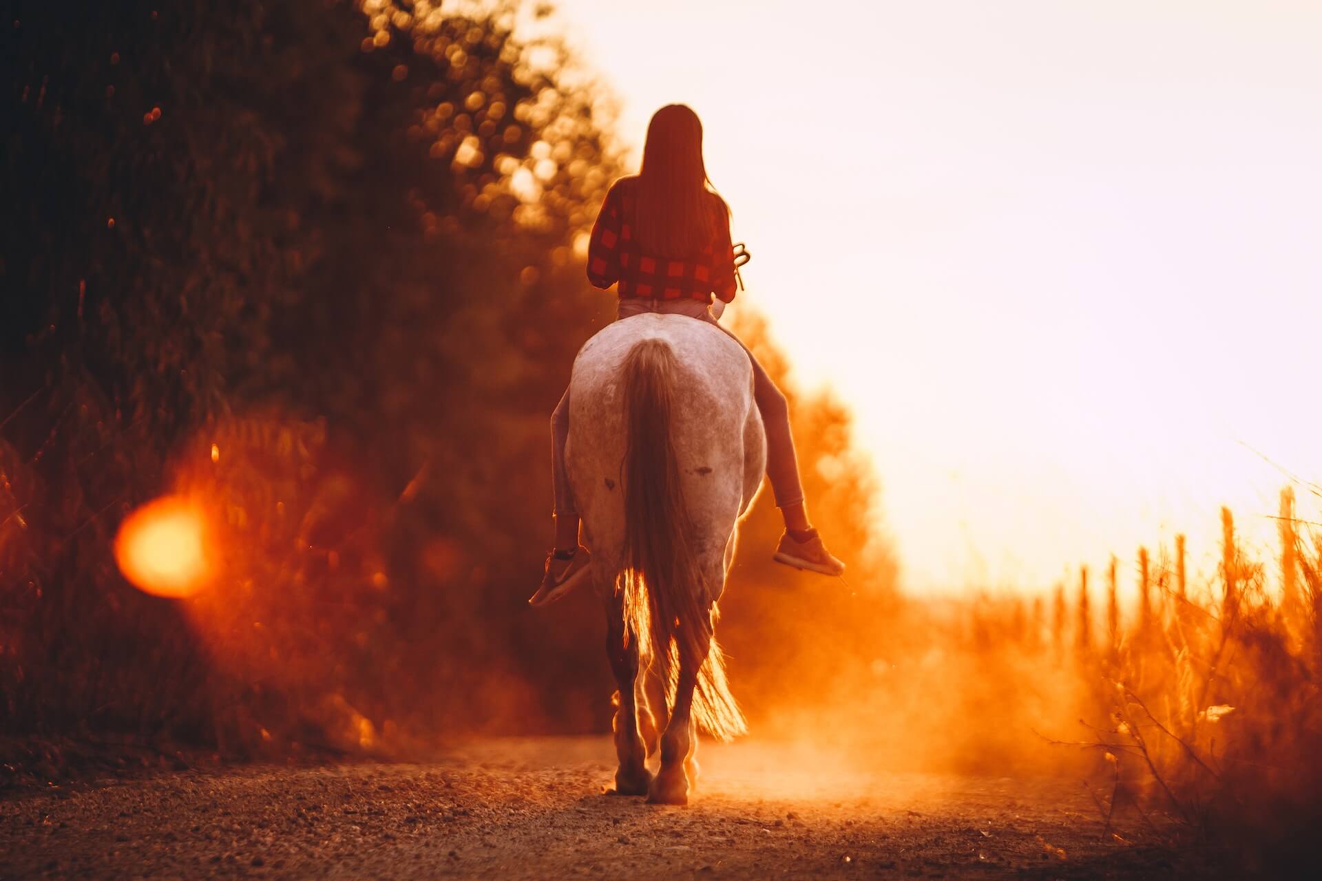 Trail Riding | Sunset Ride
