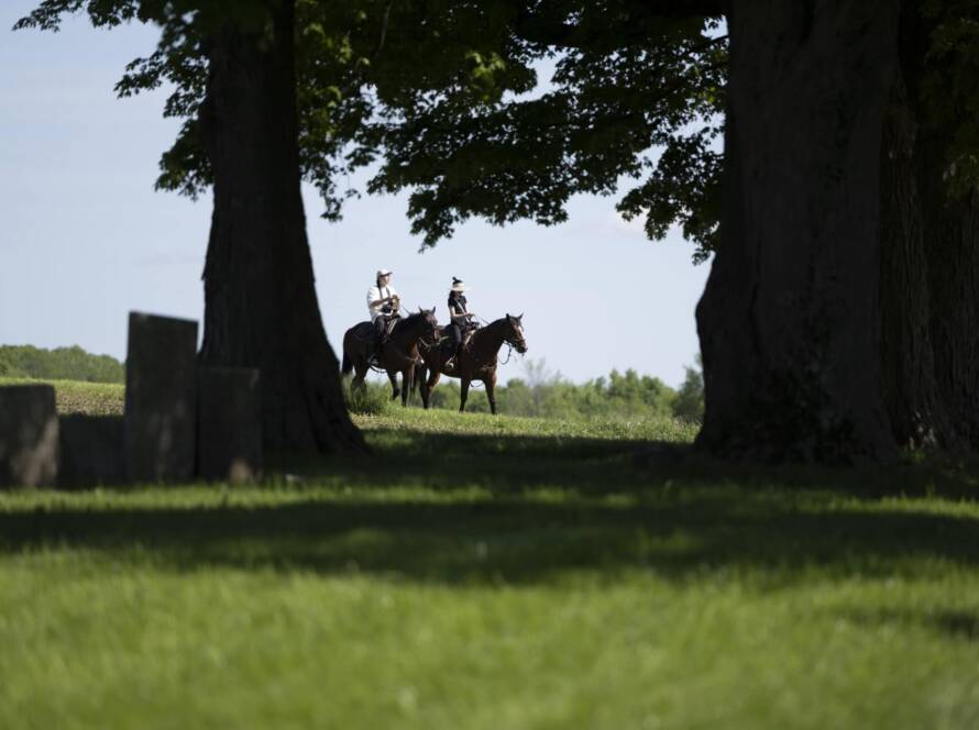 Mountain Valley Farm - Millerton NY Ranch Horse Riding