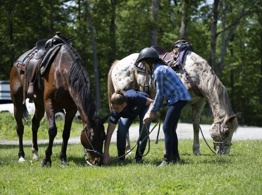 Mountain Valley Farm - Millerton New York 223