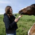 Things to Pack for a Horseback Trek