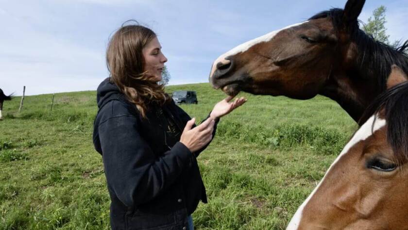 Mountain Valley Farm - New York Milerton - Things To Pack For A Horseback Trek