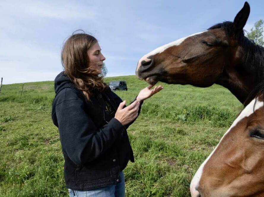 Mountain Valley Farm - New York Milerton - Things To Pack For A Horseback Trek