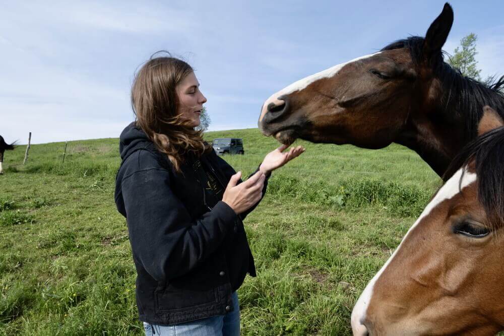 Mountain Valley Farm - New York Milerton - Things To Pack For A Horseback Trek