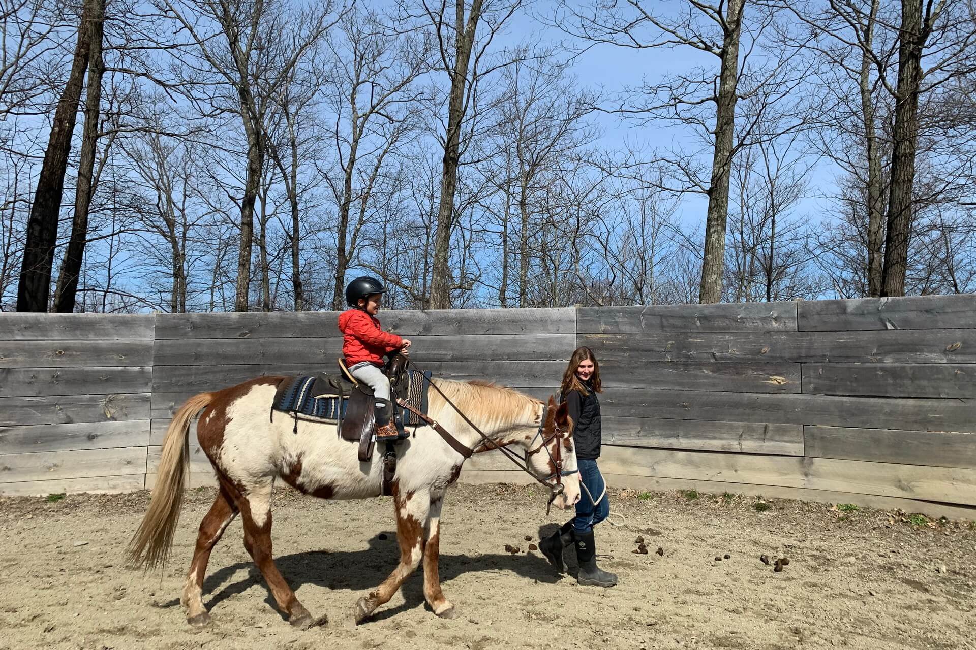 Round Pen Lesson